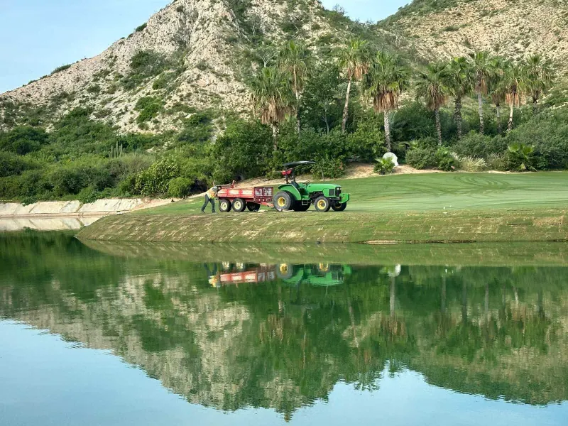 Equipo Profesional